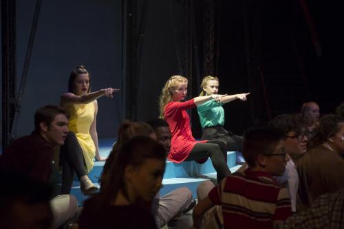 pippin020